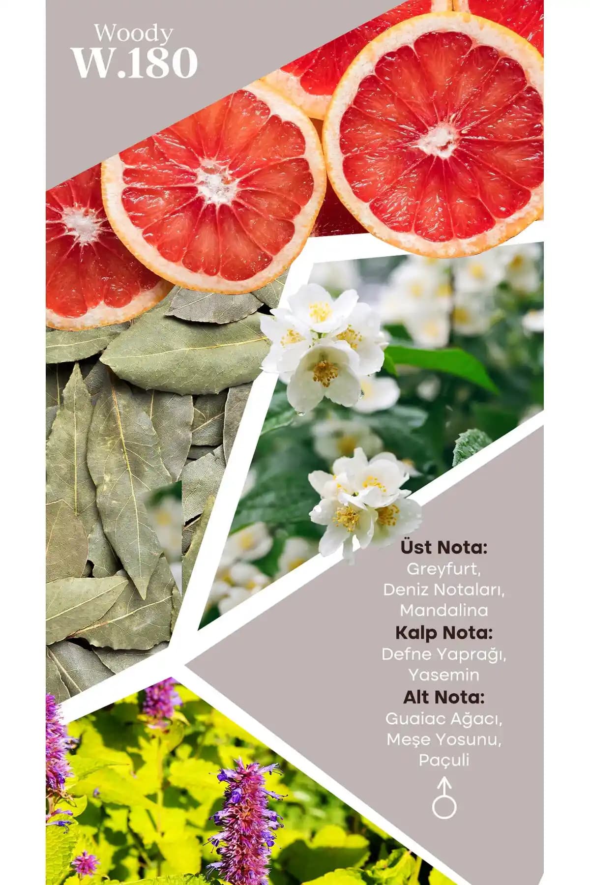 Mad W180: Kozmetik ve Kişisel Bakım Alanında Mevcut Bilgi ve Analizler