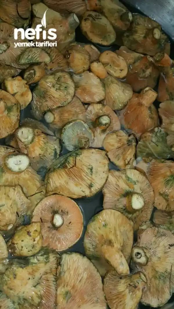 Saçta Mantar Enfeksiyonları: Belirtiler, Nedenler ve Etkili Bakım Önerileri