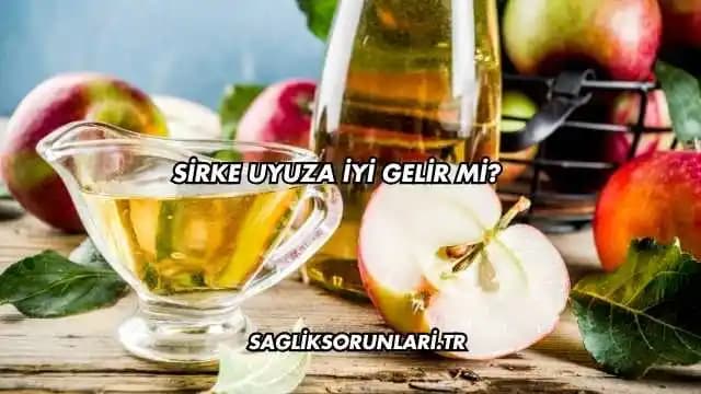 Sirkenin Bitlere Etkisi: Doğal Tedavi Yöntemleri ve Mevcut Bilgi Durumu