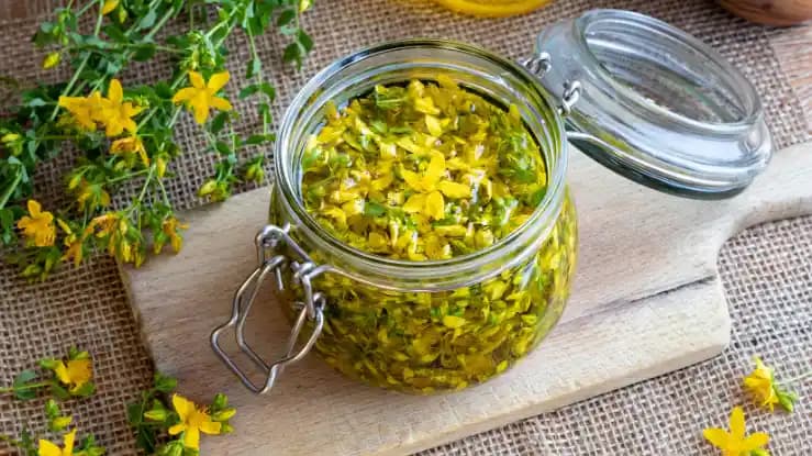 Yüze Kantaron Yağı Sürmenin Faydaları ve Cilt Bakımında Doğru Kullanımı