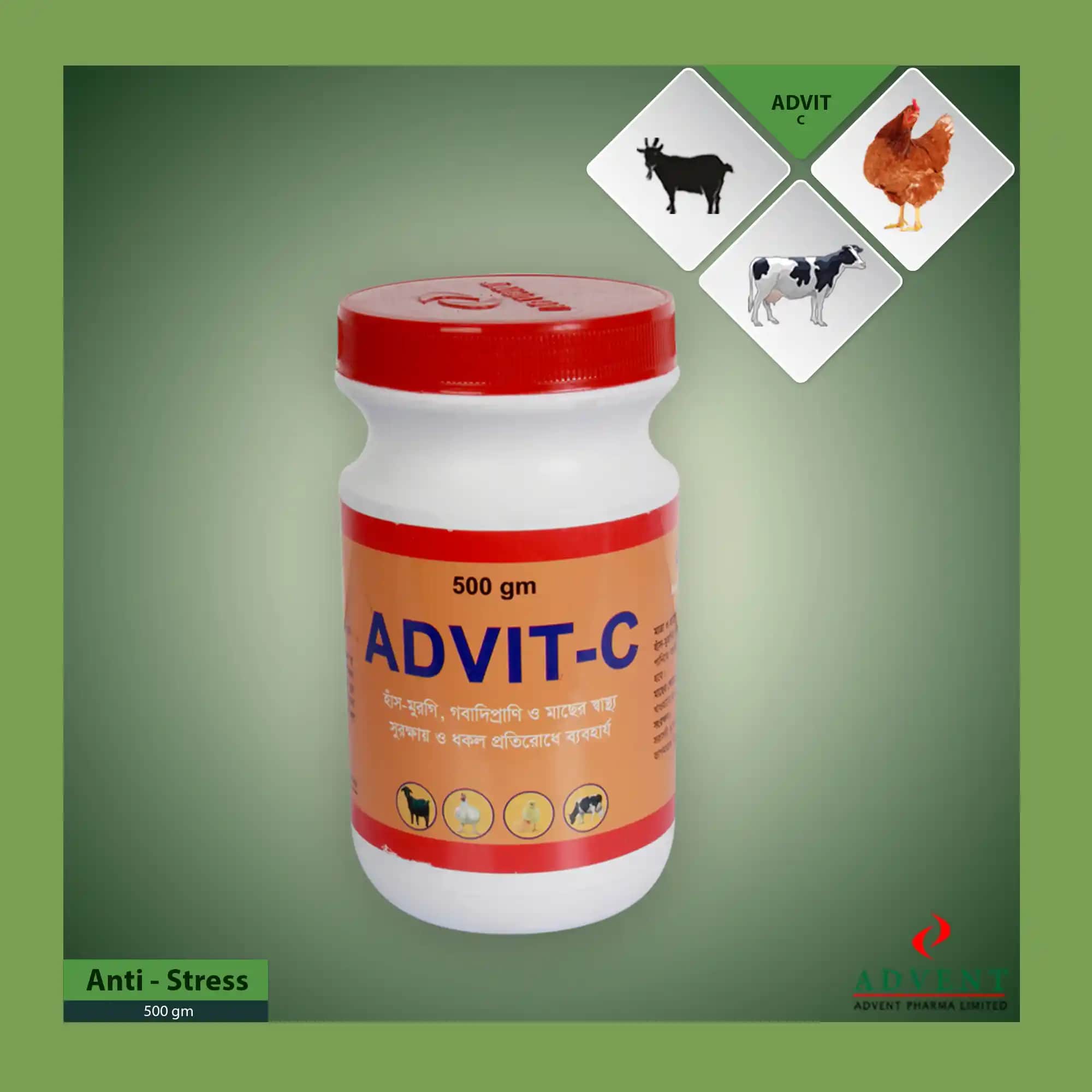 Advit C ile Cilt Sağlığını Güçlendiren Yenilikçi Bakım Ürünü Rehberi