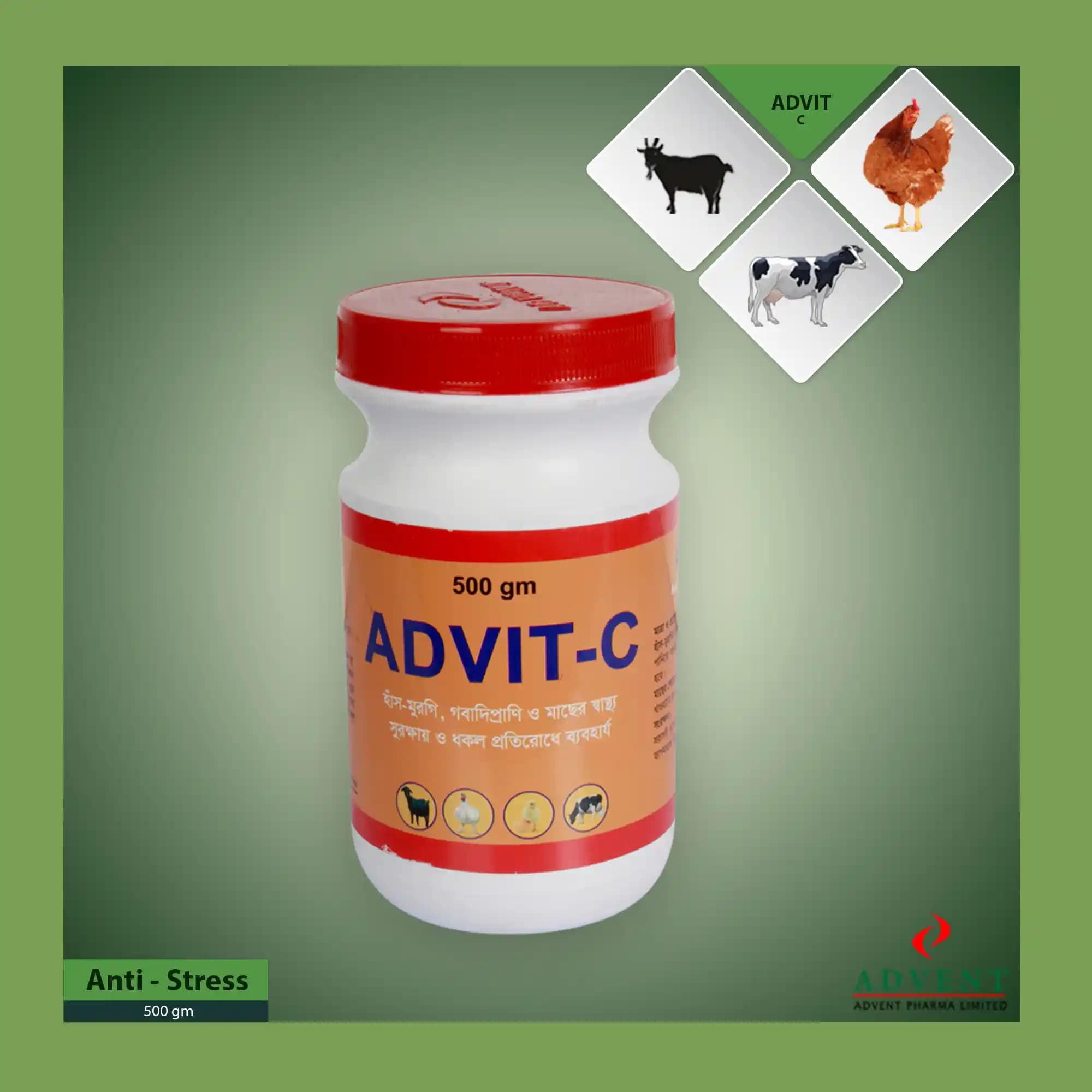 Advit C ile Cilt Sağlığını Güçlendiren Yenilikçi Bakım Ürünü Rehberi