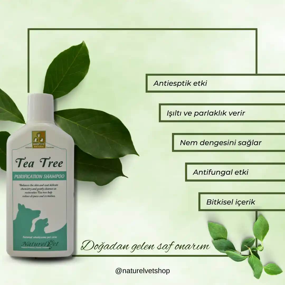 Antiseptik Şampuanlar: Saç ve Saç Derisi Sağlığını Koruyan Güçlü Çözümler