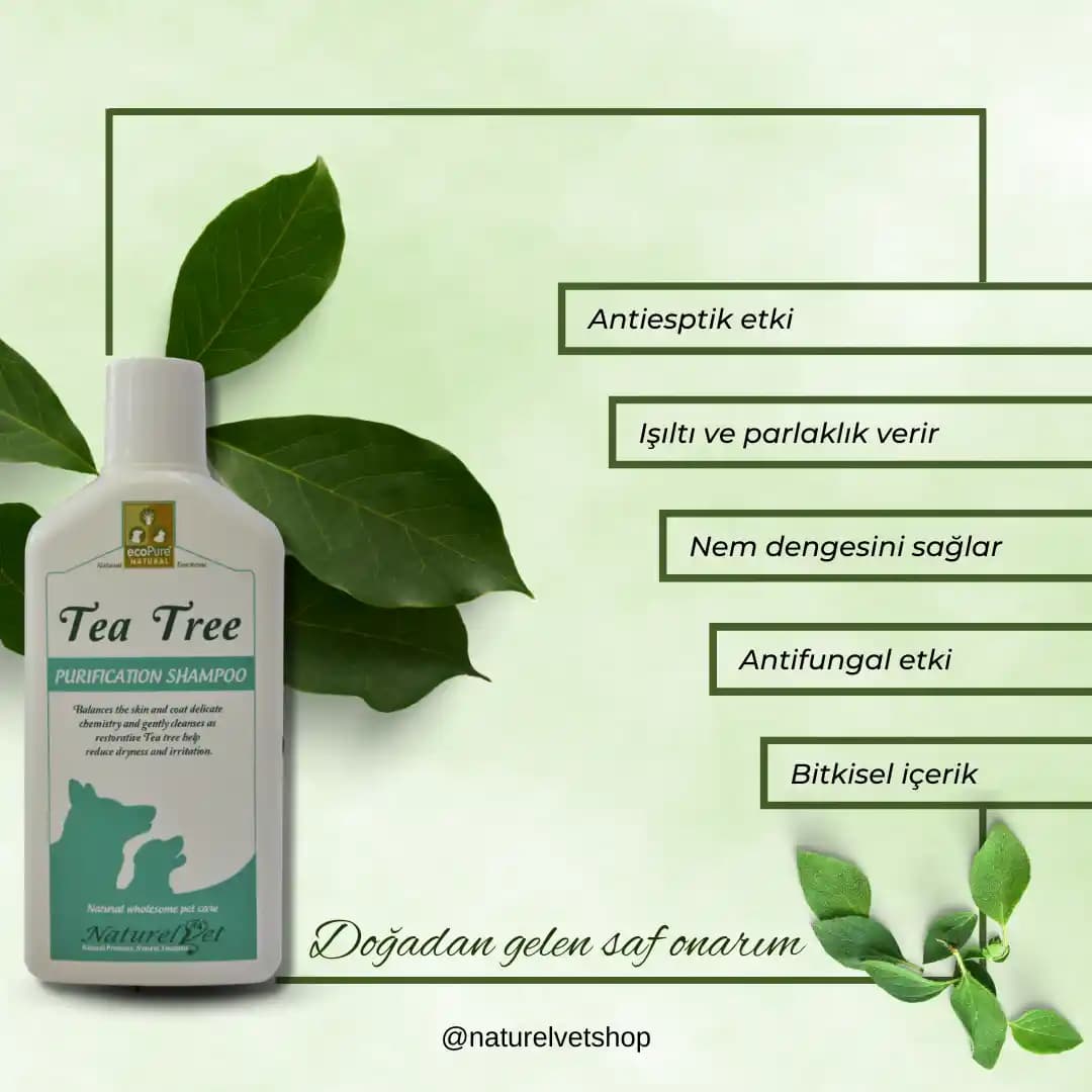 Antiseptik Şampuanlar: Saç ve Saç Derisi Sağlığını Koruyan Güçlü Çözümler