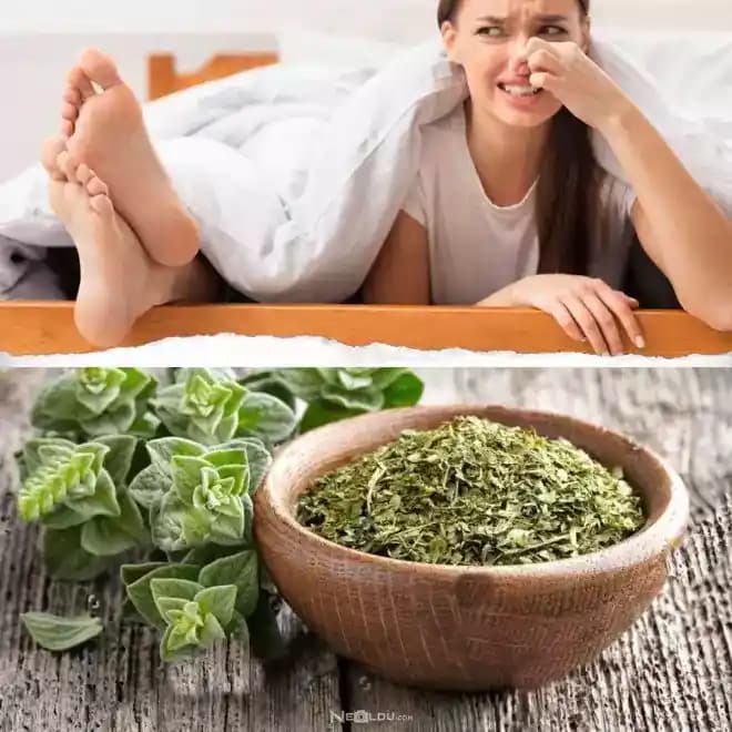 Ayak Kokusu ve Terlemesine Karşı Etkili Çözüm Yöntemleri ve Tavsiyeler