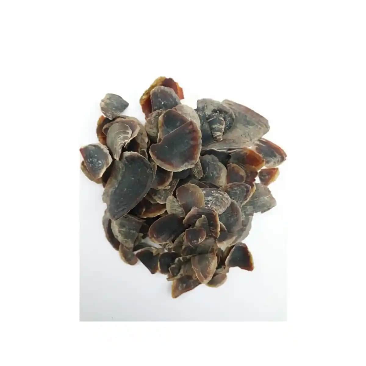 Ayakta Şeytan Tırnağı: Kozmetik ve Kişisel Bakımda Doğal Güç ve Faydaları