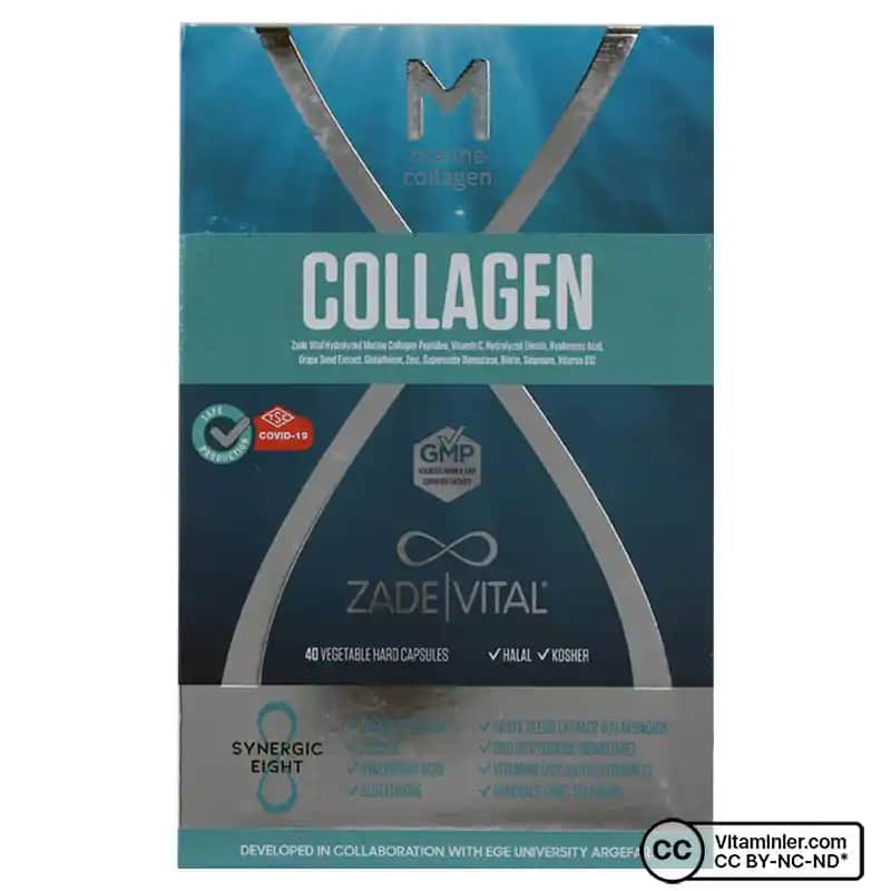 Balık Kolajeni ile Cilt Sağlığı ve Güzellikte Yeni Bir Dönem Başlıyor