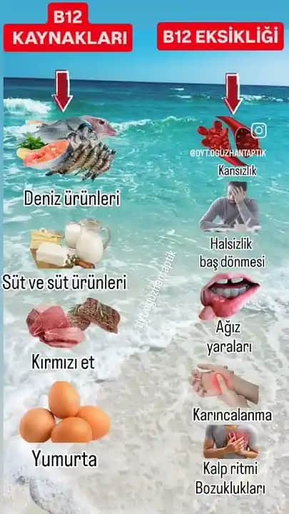 Balık Yağında B12 Vitamini Var mı? Kozmetik ve Kişisel Bakımda B12'nin Önemi