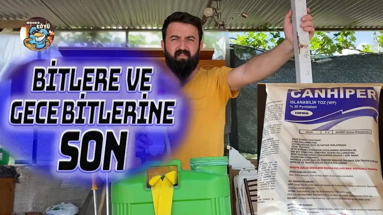 Bit Problemi ve Kalıcı Çözüm Yöntemleri: Etkili ve Güvenilir Tavsiyeler