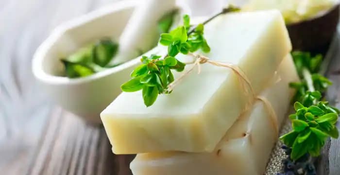 Çay Ağacı Sabunu Faydaları ve Kullanım Alanları: Doğal Cilt ve Saç Bakımında Etkili Çözüm