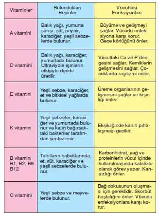 Cilt ve Saç Sağlığı için En Etkili Vitaminler ve Kullanım Yöntemleri