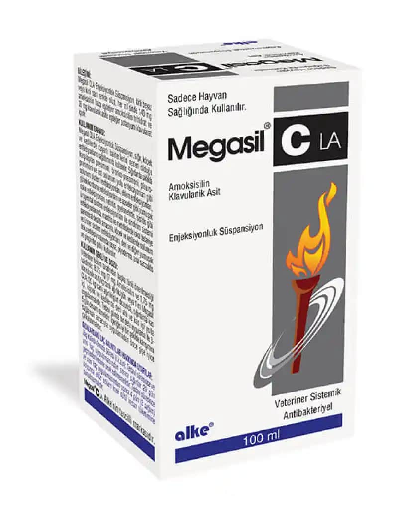 CLA Nedir Kozmetik ve Kişisel Bakımda Kullanım Alanları ve Faydaları