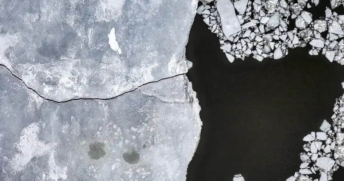 Çocuklar İçin Güvenli ve Doğal Sinek Kovucu Ürünler Hakkında Bilmeniz Gerekenler