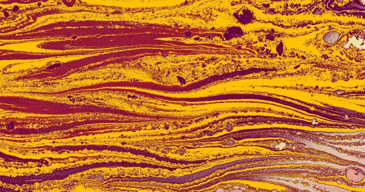 Davidoff Parfüm: Kalite, Zarafet ve Uzun Süre Kalıcılık Sunan Lüks Marka