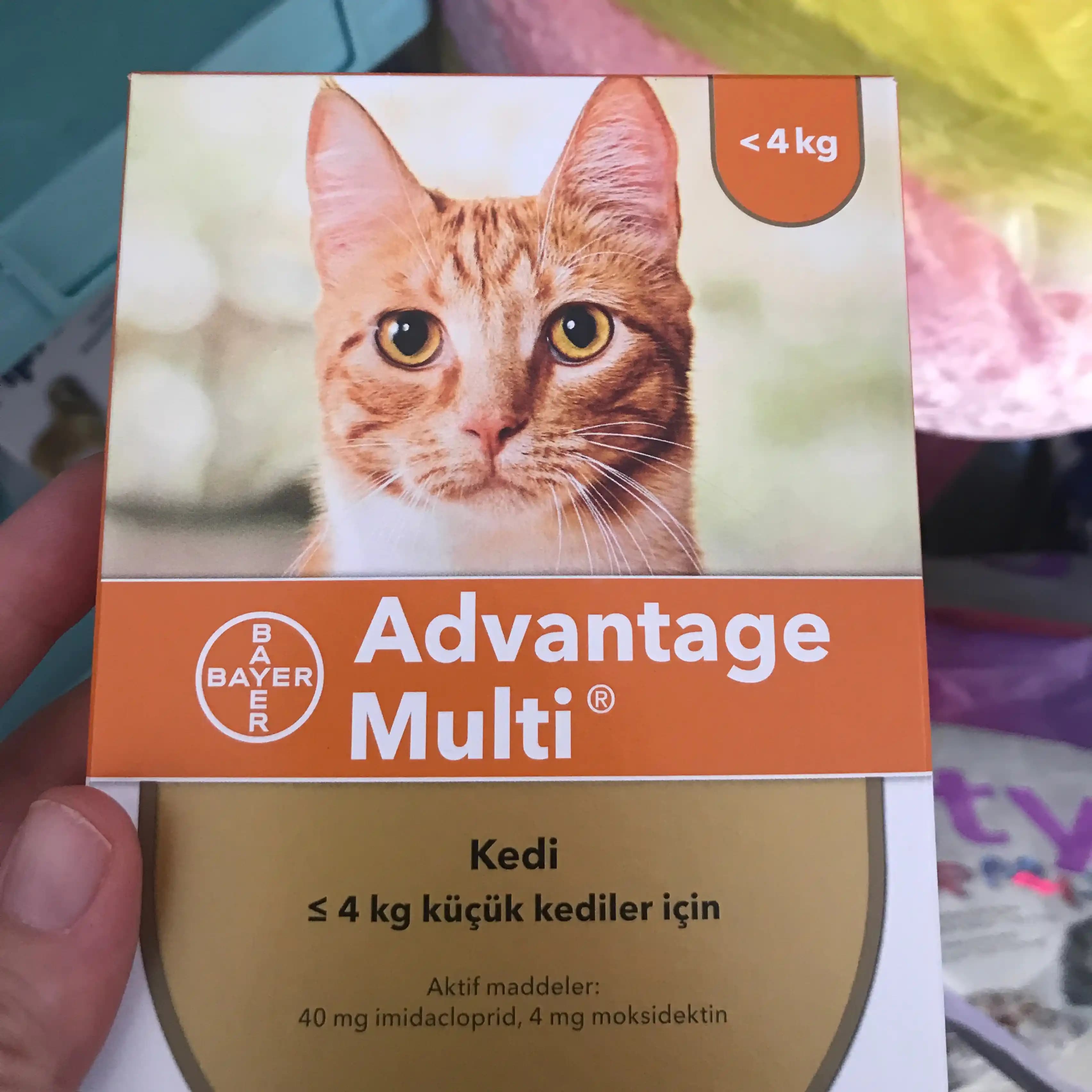 En İyi İç Dış Parazit İlacı Seçimi ve Kullanımında Dikkat Edilmesi Gerekenler