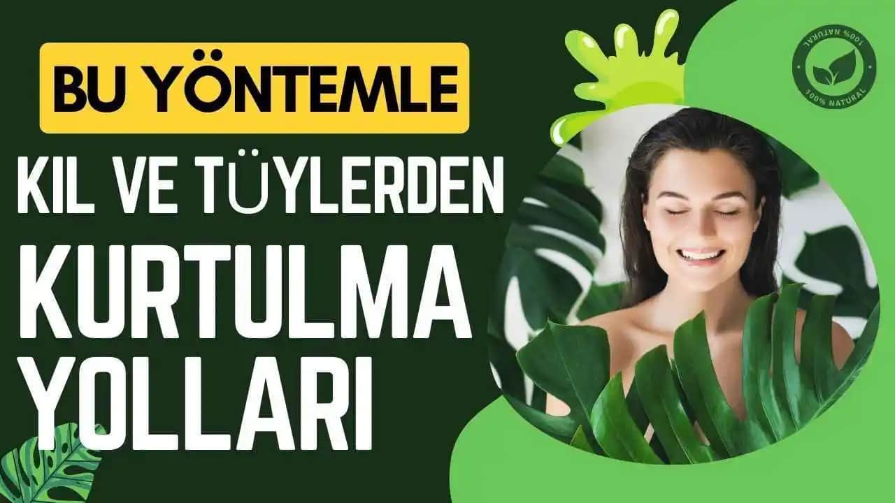 Evde Kıllardan Kurtulmanın En Etkili ve Güvenli Yöntemleri Rehberi