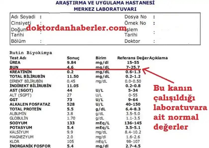 Keratin Nedir, Normal Değeri ve Kozmetik Ürünlerdeki Önemi Hakkında Bilmeniz Gerekenler