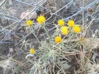 Kıratin Nedir ve Cilt Sağlığını Destekleyen Faydaları Nelerdir