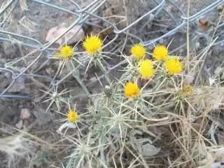 Kıratin Nedir ve Cilt Sağlığını Destekleyen Faydaları Nelerdir