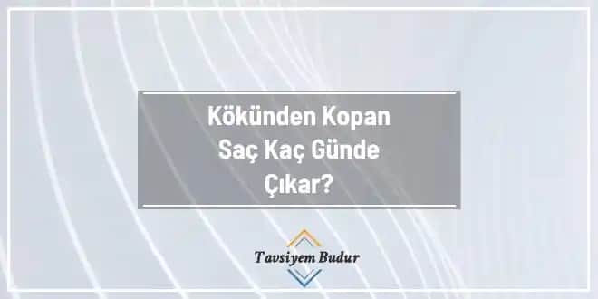 Kökünden Alınan Kıllar Ne Kadar Sürede Tekrar Çıkar ve En Etkili Çözüm Yöntemleri