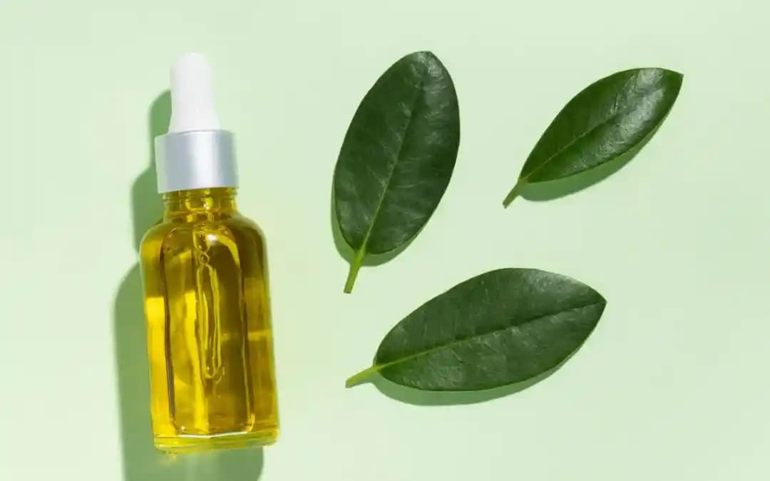 Komedojenik Yağlar ve Cilt Sağlığı Üzerindeki Etkileri Bilinçli Kullanım Rehberi