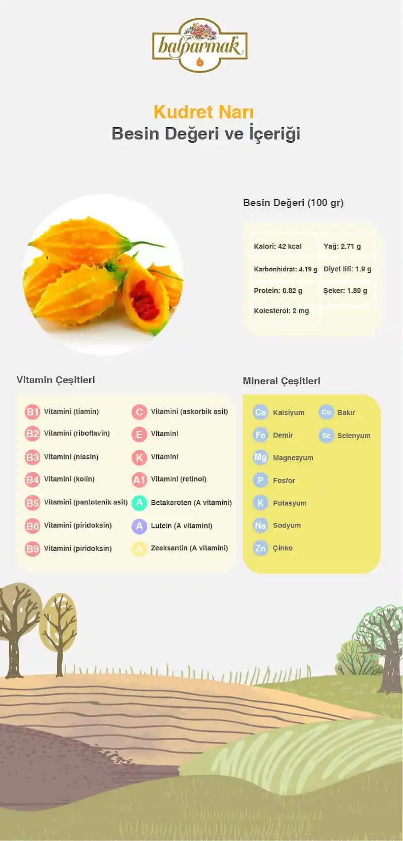 Kudret Narı: Besin Değerleri ve Sağlık Faydaları Hakkında Detaylı Bilgi