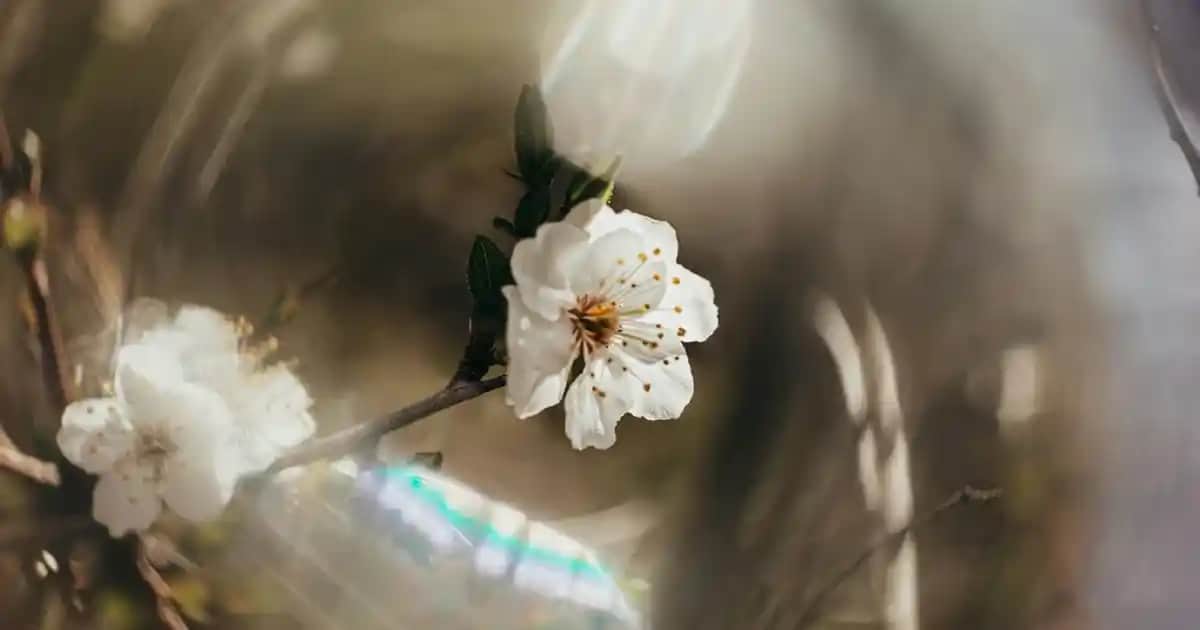 La Roche-Posay XL Güneş Kremi: Yüksek Koruma Sağlayan Güvenilir Güneş Koruyucu