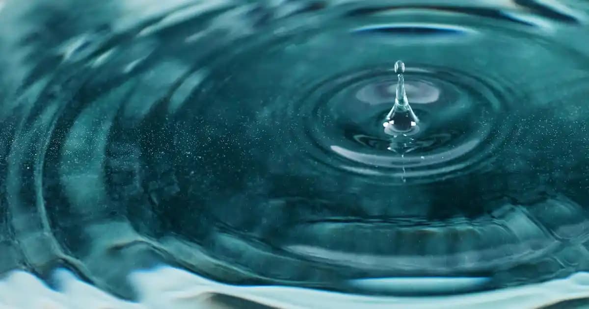 Ocean Jelibon Vitaminler: Sağlık ve Güzellik İçin Yenilikçi Takviye Çözümü