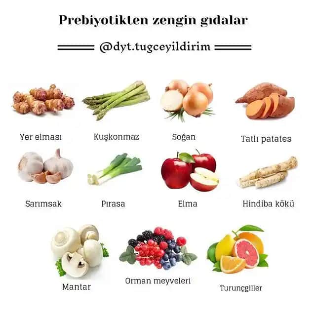 Prebiyotik Besinler ve Sağlık Üzerindeki Etkileri: Bağırsak ve Güzellik İçin Temel Kaynaklar
