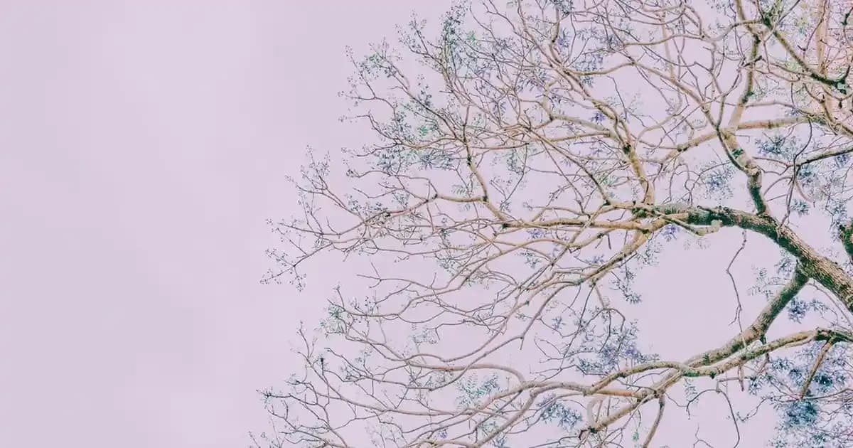 Revitalift Clinical Serum ile Yenilenen Cilt Bakımı ve Yaşlanma Karşıtı Etkiler