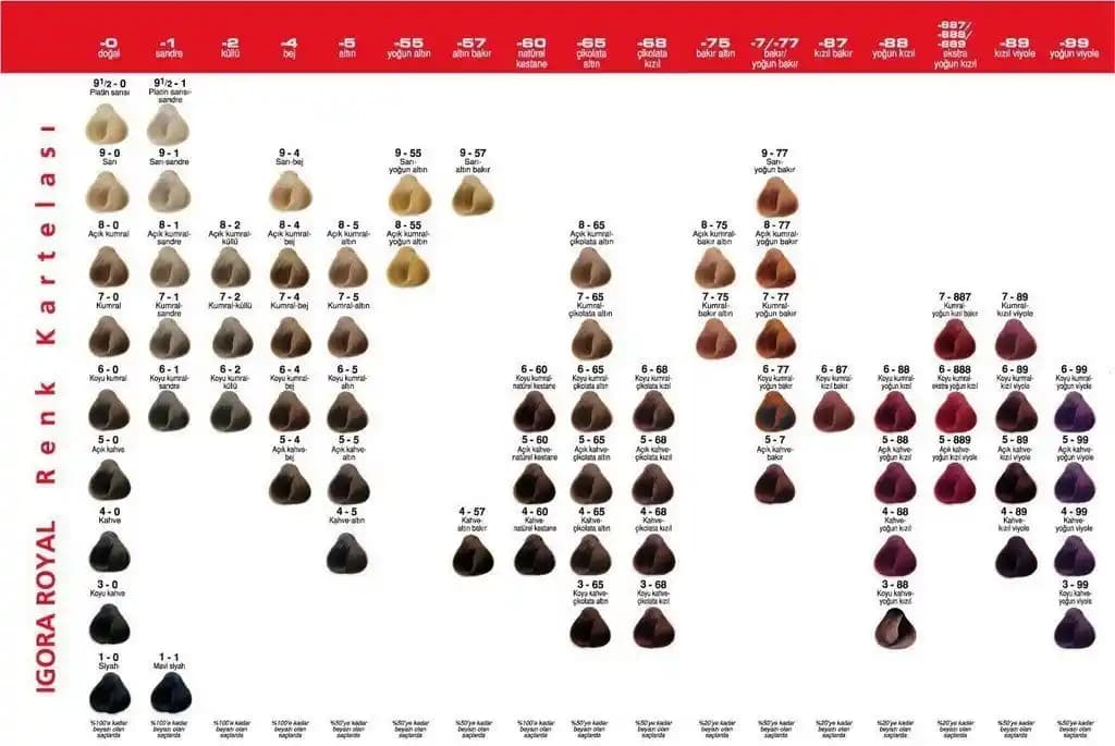 Saç Boyası Katalogları ve Güncel Trendler: Renk Seçenekleri ve Kullanım İpuçları