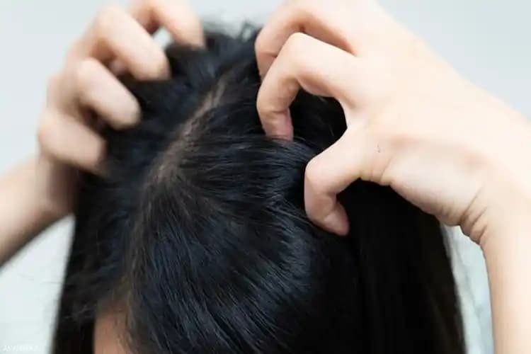 Saç Diplerine İyi Gelen Doğal Çözümler ve Sağlıklı Saç Bakımı Yöntemleri