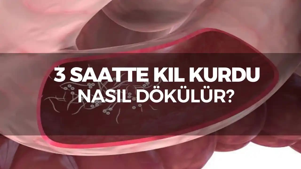 Saç Dökülmesini Önleme ve Saç Sağlığını Güçlendirme Yolları Rehberi