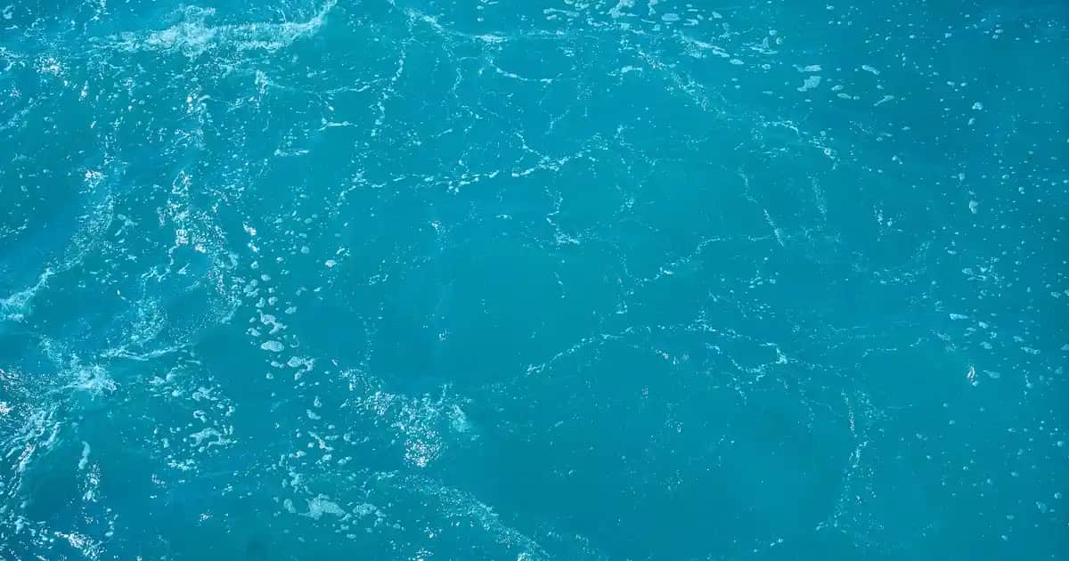 Solgar Cilt İçin Vitaminler ve Takviyeler: Sağlıklı ve Parlak Bir Cilt İçin Rehber