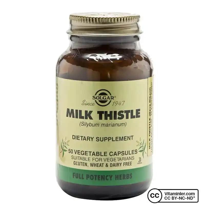 Solgar ile Karaciğer Sağlığını Destekleyen Doğal ve Güvenilir Takviyeler