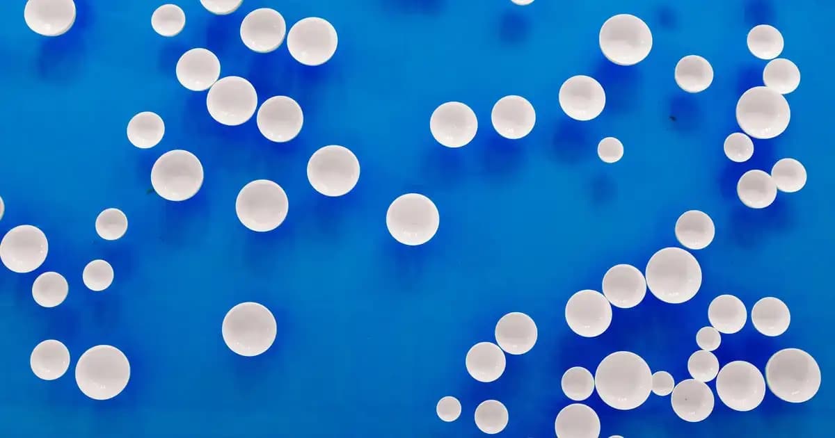Solgar Magnezyum Citrate: Doğal ve Yüksek Emilim Oranına Sahip Mineral Takviyesi