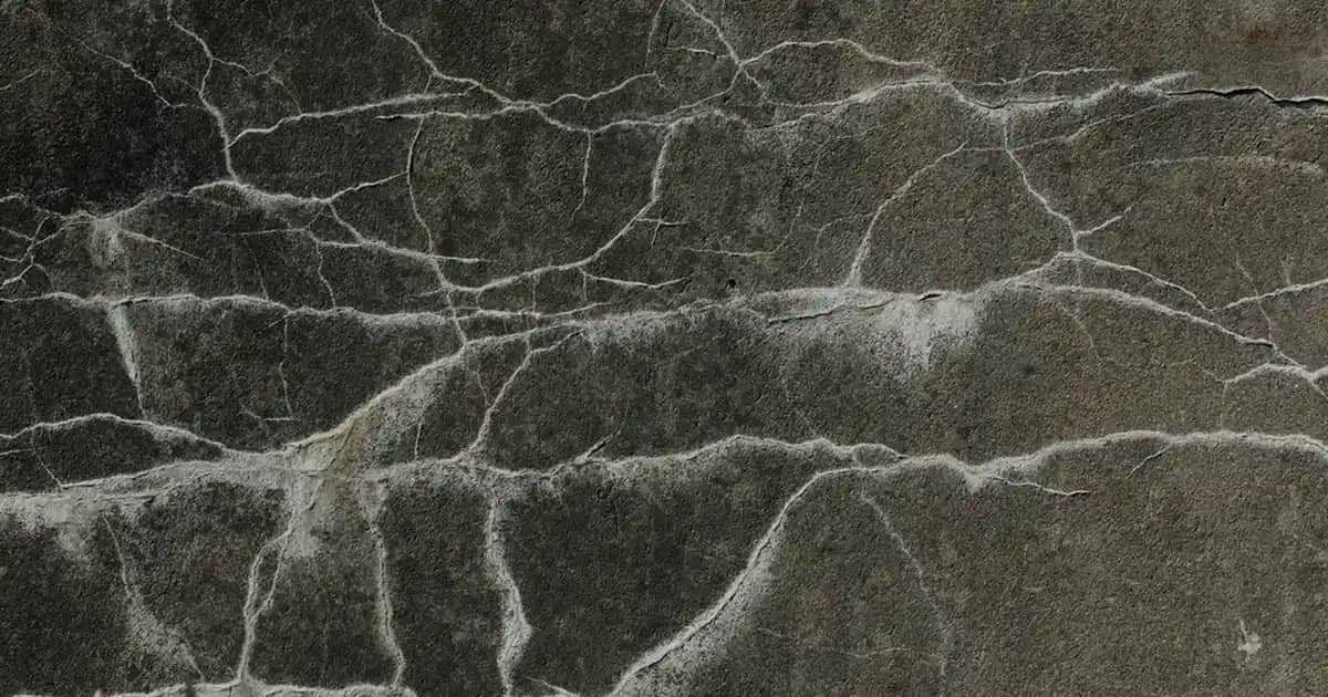 Yumurta Kabuğu Ekstresi ile Doğal Cilt Bakımı ve Güzellik Trendleri 2023