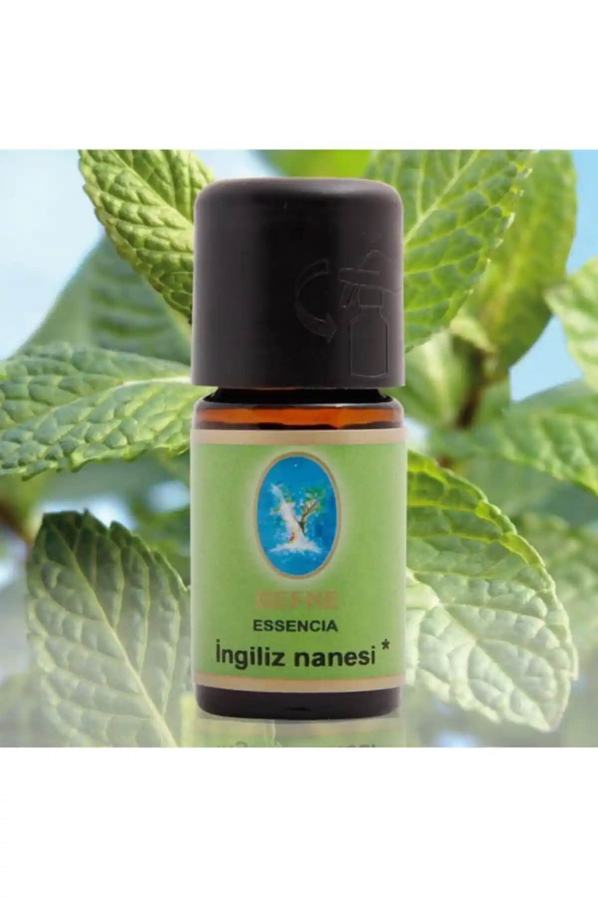 Organik Nuka Defne Essencia Doğal Aromasıyla Solunum ve Cilt Sağlığını Destekler