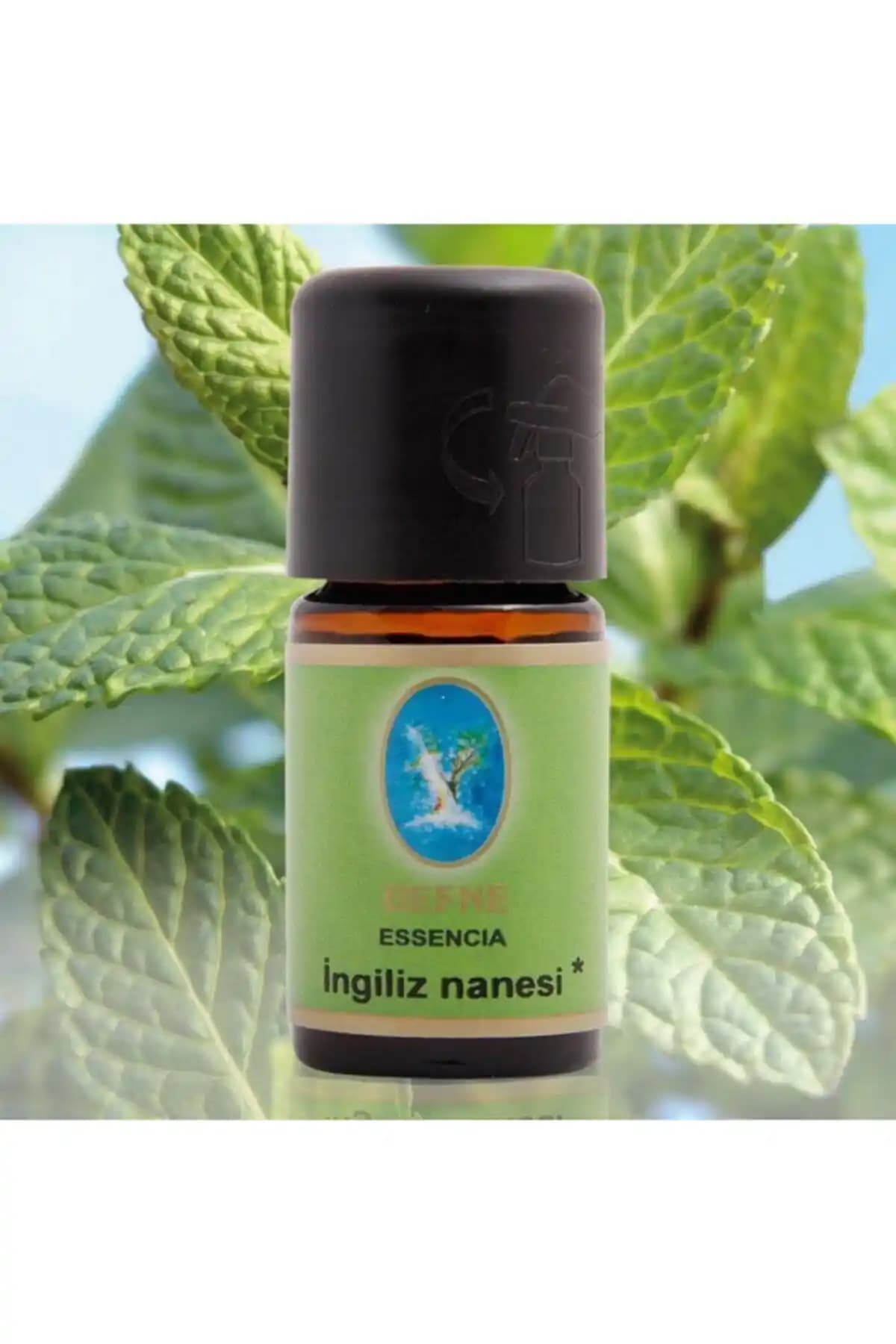 Organik Nuka Defne Essencia Doğal Aromasıyla Solunum ve Cilt Sağlığını Destekler