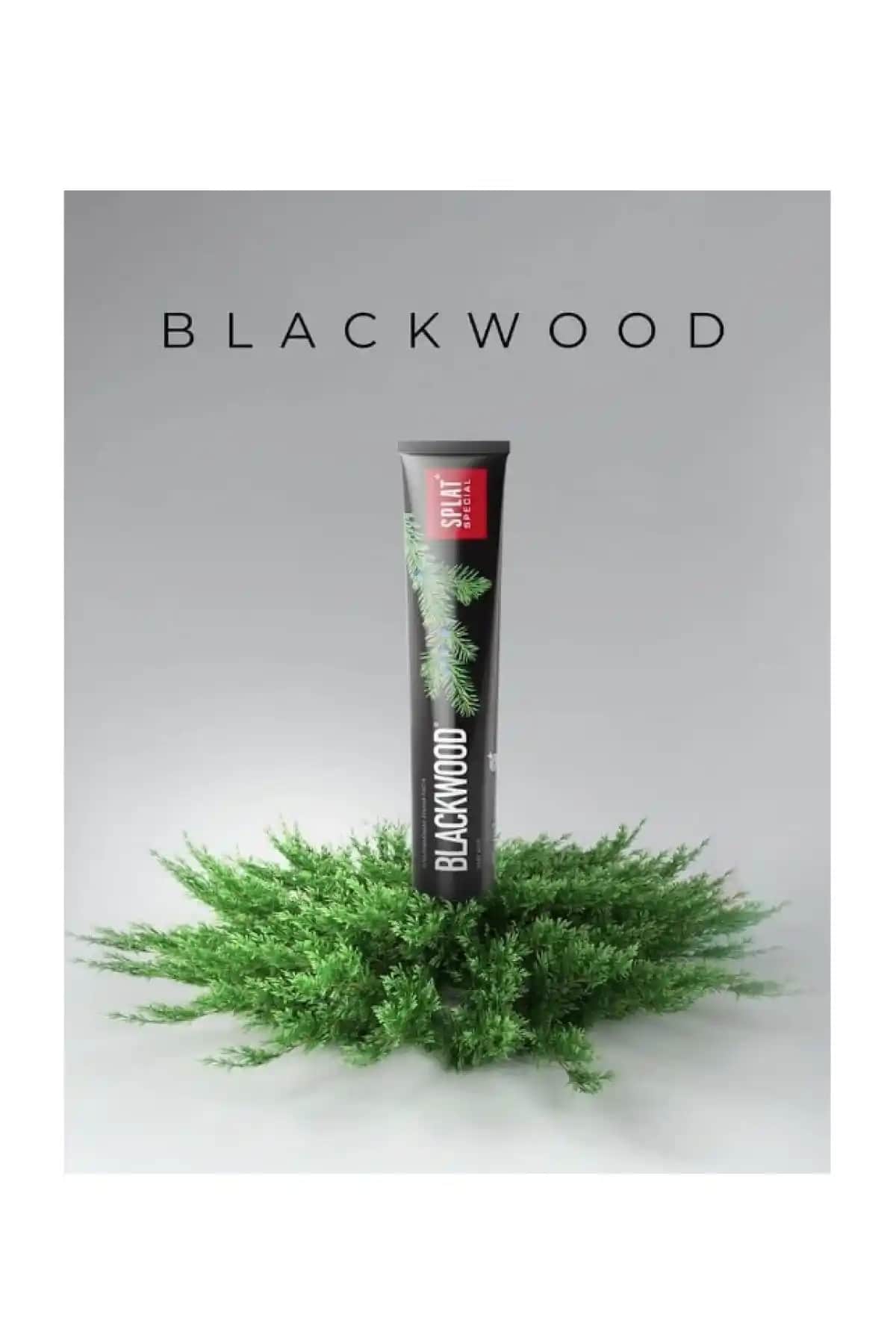 Splat Blackwood ve Splat Profesyonel White Plus Diş Macunu Karşılaştırması ve İnceleme