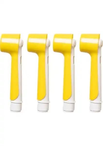 Oral-B ve Wober Diş Fırçası Saklama Kapları Karşılaştırması ve Kullanım İpuçları