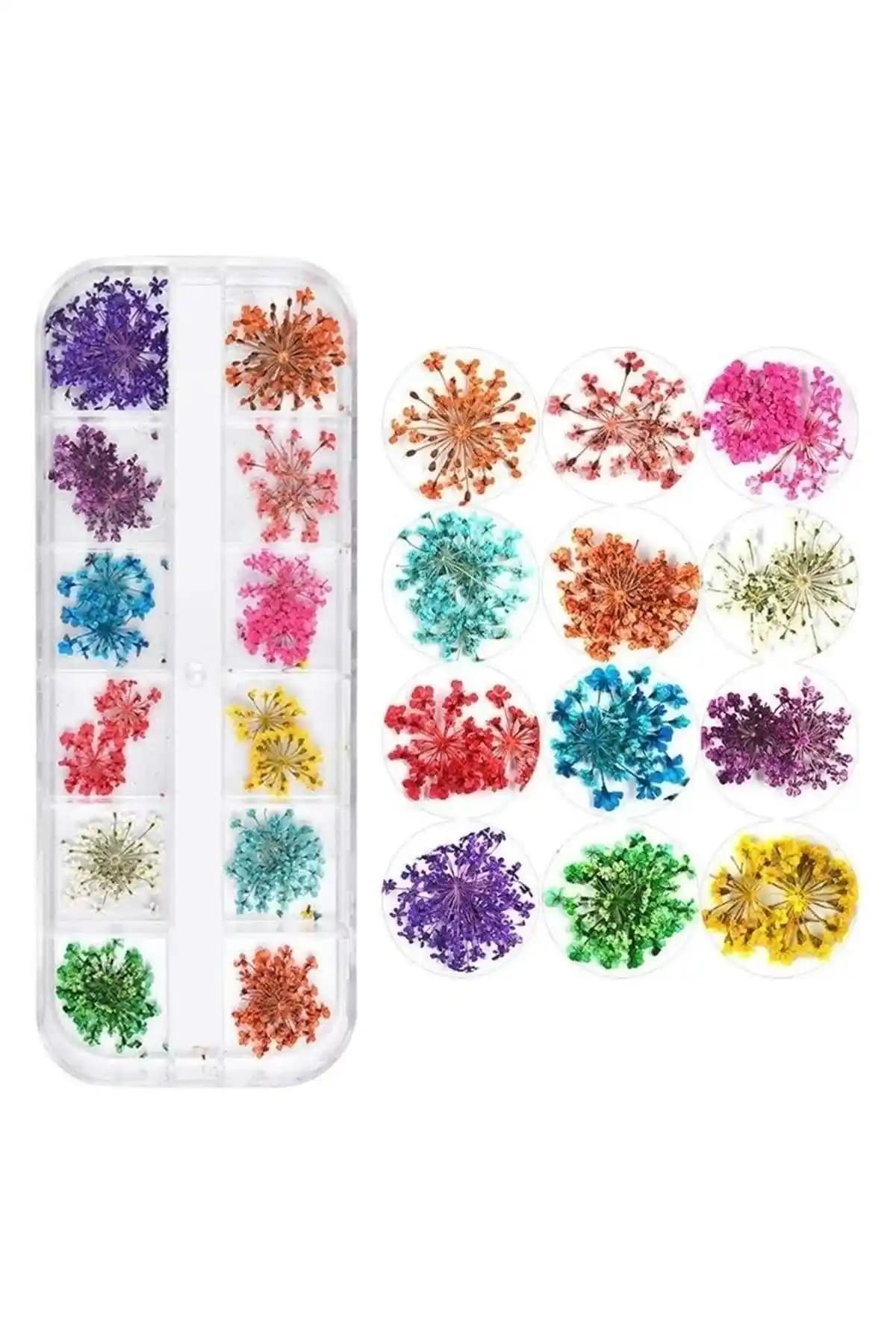 Venalisa Kurutulmuş Gerçek Çiçek Nail Art Süsleme Doğal ve Şık Tasarım İçin Uygun