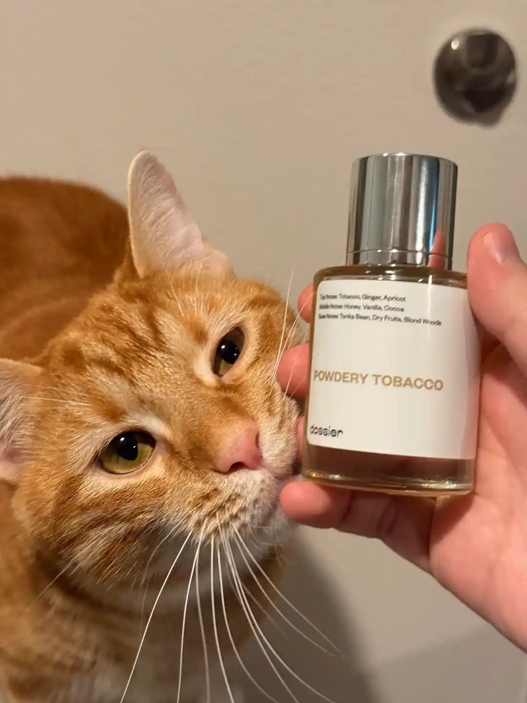 Dossier Powdery Tobacco: Tom Ford Tobacco Vanille Alternatif Kokusu İncelemesi