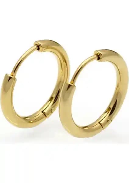 Erkek ve unisex paslanmaz çelik küpe modellerinin detaylı karşılaştırması