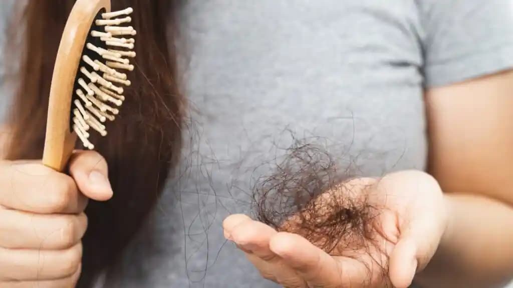 Mevsimsel Saç Dökülmesinin Nedenleri, Gözlemleri ve İklimsel Etkileri Üzerine İnceleme