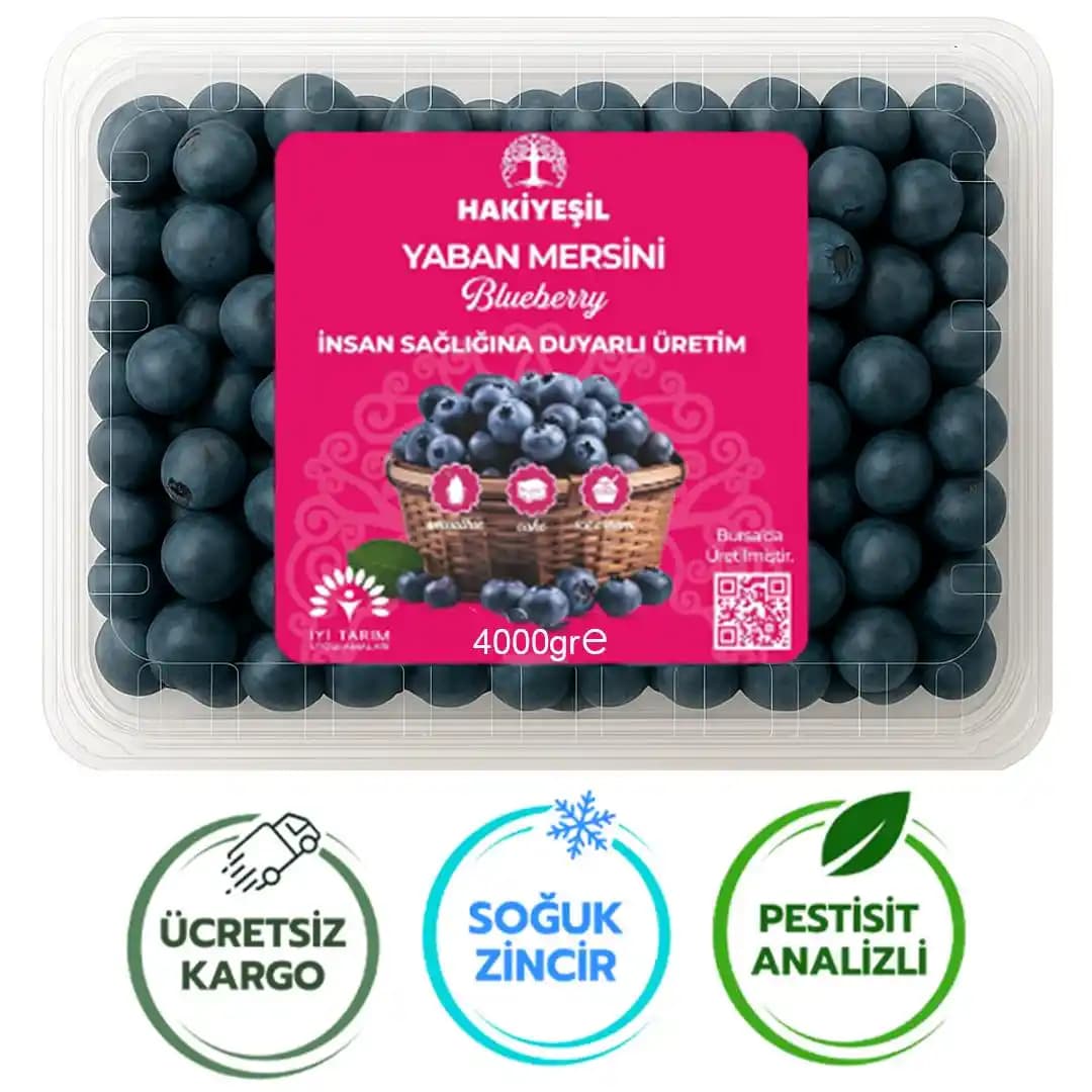 Saf Yaban Mersini Kokusu Taşıyan Parfümler ve Öne Çıkan Seçenekler