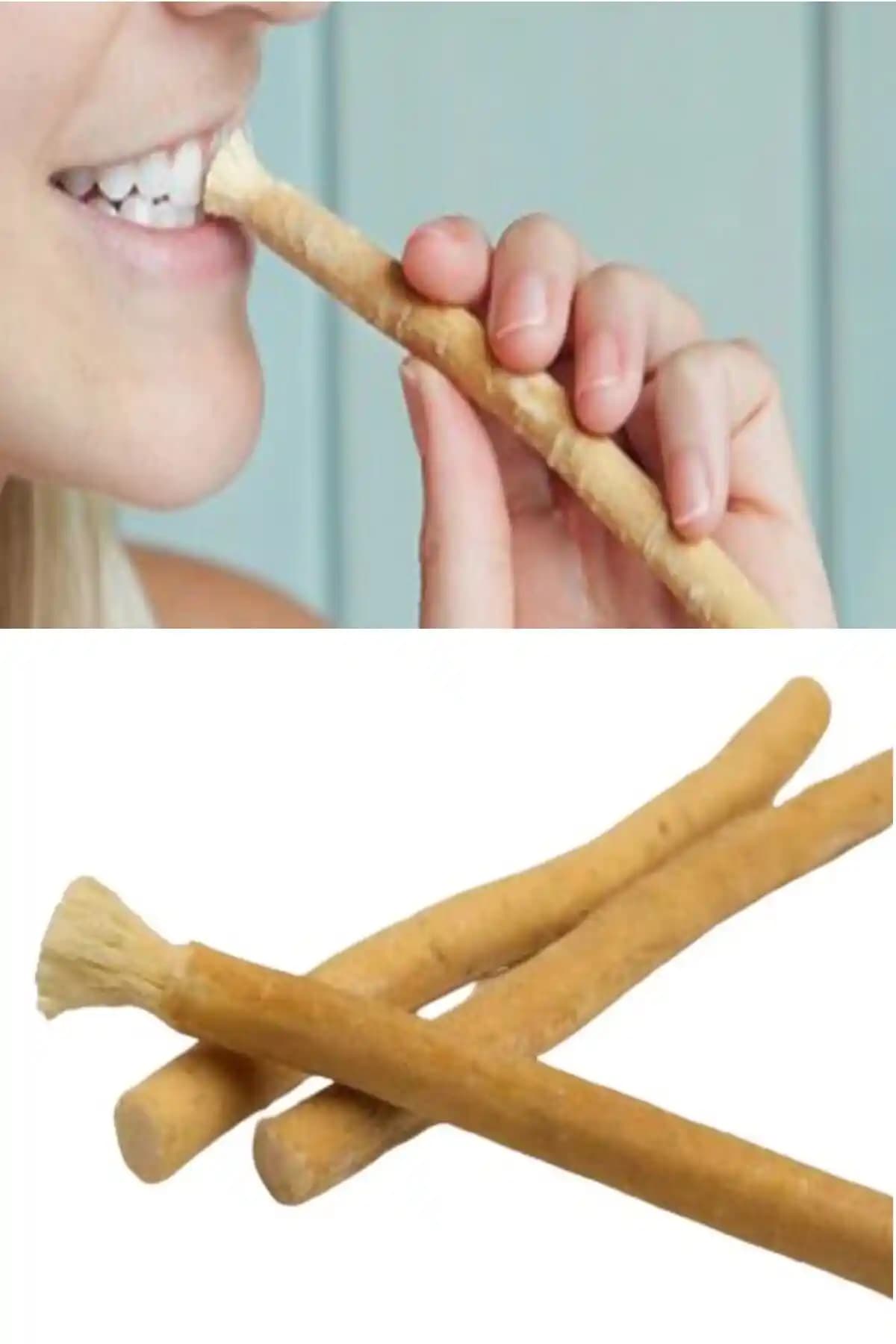 RoseRoi 3 Adet Misvak Seti Doğal ve Hijyenik Diş Bakımı İçin Güvenilir Alternatif