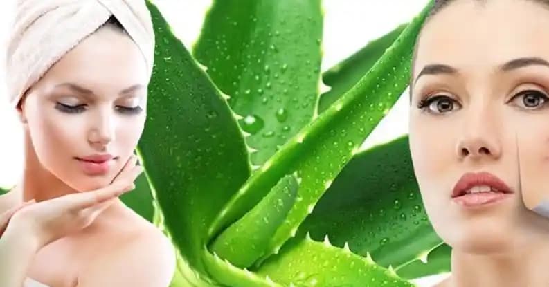 Aloe Vera ile Cilt Bakımı Rehberi: Doğal ve Etkili Güzellik Sırları