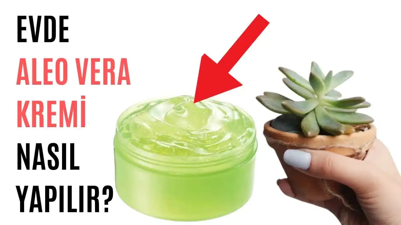 Aloe Vera Kremi Kullanımı: Doğru Uygulama Yöntemleri ve Faydaları
