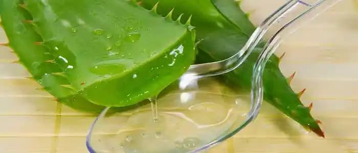Aloe Vera Kullanımı ve Faydaları: Doğal Güzellik İçin Doğru Yöntemler